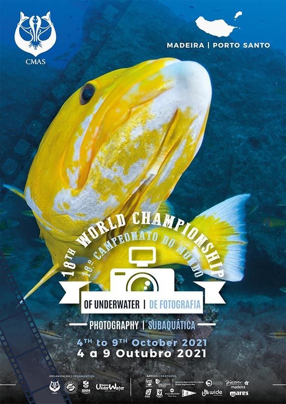 4º campeonato do mundo de vídeo subaquático2