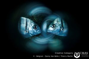 CREATIVE Category 18º CMAS World UW Photography4