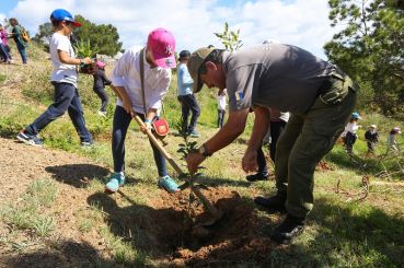 Reforestation in the Environmental Education Programme for 1st Cycle Basic Education Schools of Porto Santo, 2018